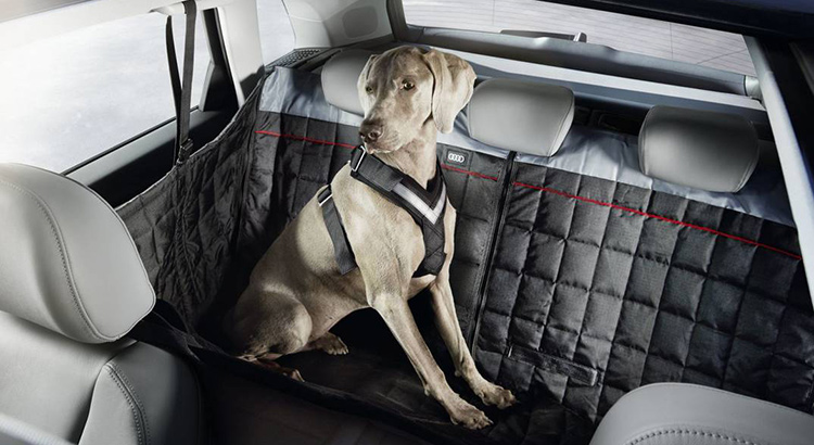 Hundezubehor Audi Original Zubehor Service Und Zubehor Audi Deutschland