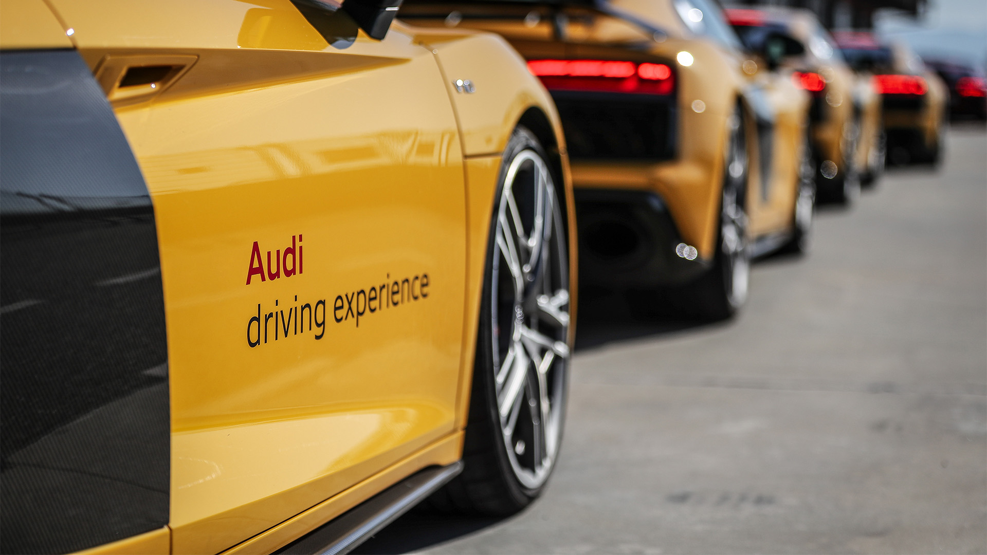 Many yellow Audi models in a row from the side with the Audi driving experience inscription