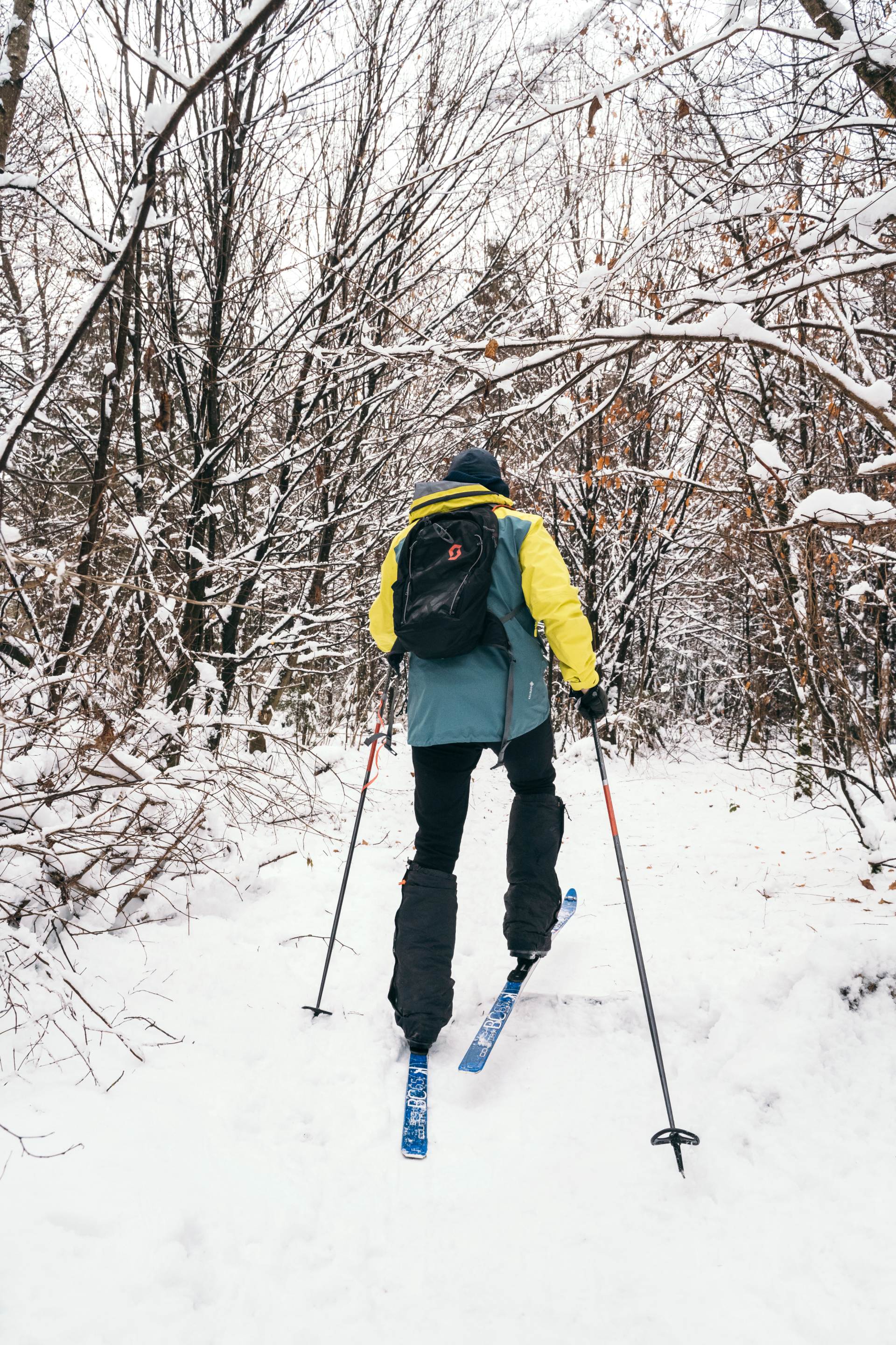 Sebastian Copeland fährt auf Skiern durch den Wald. 